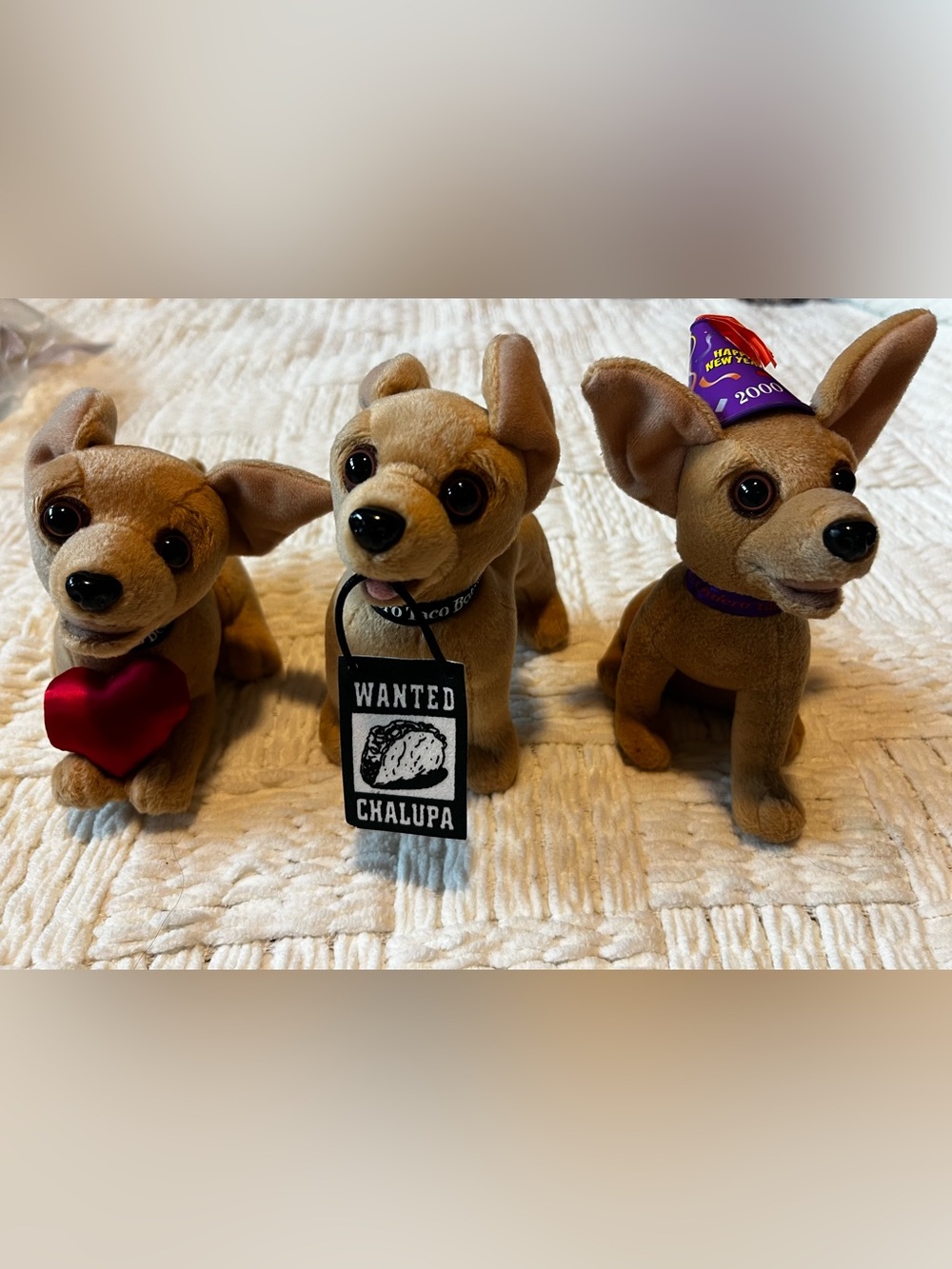 Plush Chihuahua Stuffed Dog Toys in Light Brown with 'WANTED CHALUPA' Tag qty.